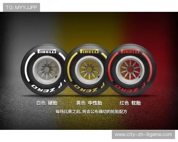 轮胎管理：赢得比赛的最佳策略，轮胎管理风险有哪些方面